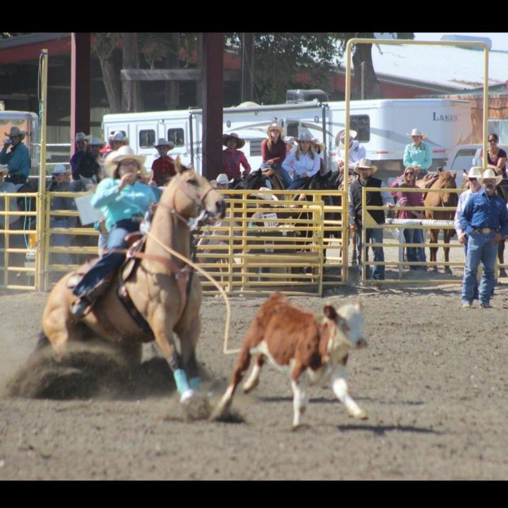Meet your Posher, Sidney